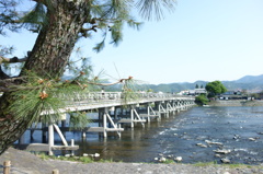 渡月橋