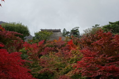 @箱根美術館