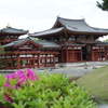 平等院鳳凰堂