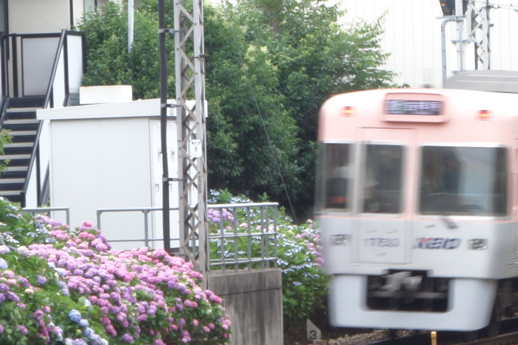 @井の頭線東松原駅