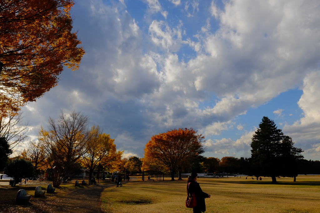昭和記念公園