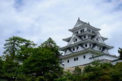 郡上八幡城