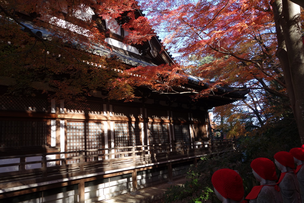 紅葉@高幡不動尊