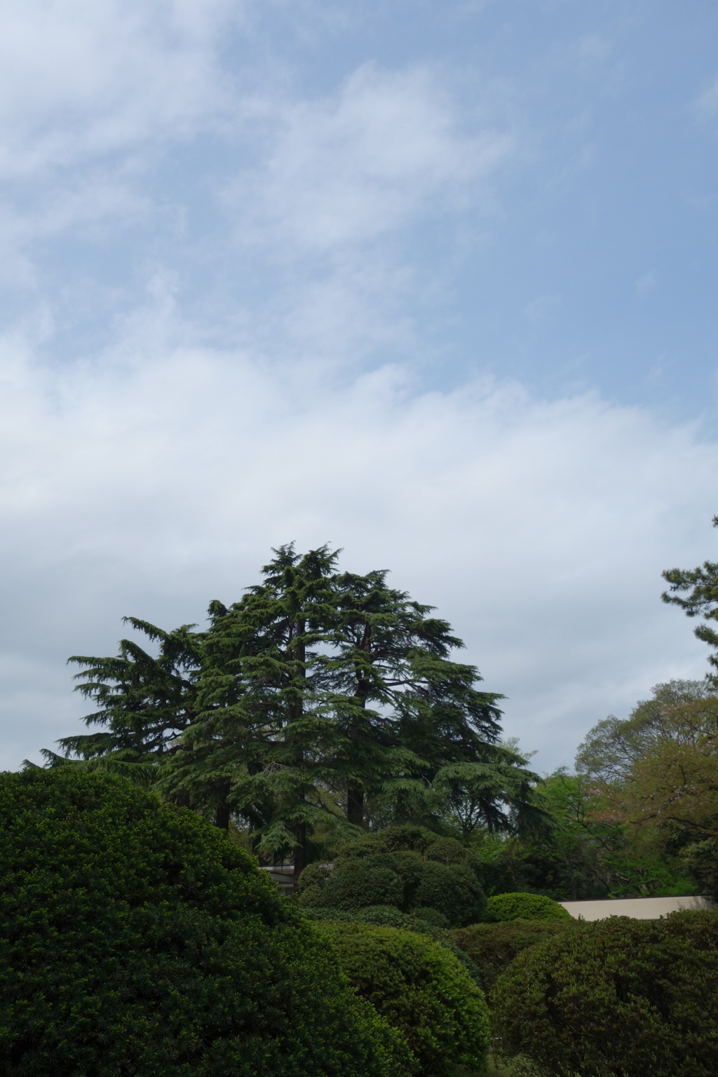 @東京都庭園美術館