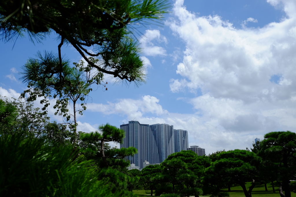 @浜離宮