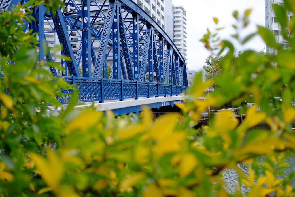 西深川橋