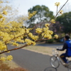 @昭和記念公園