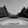 @昭和記念公園