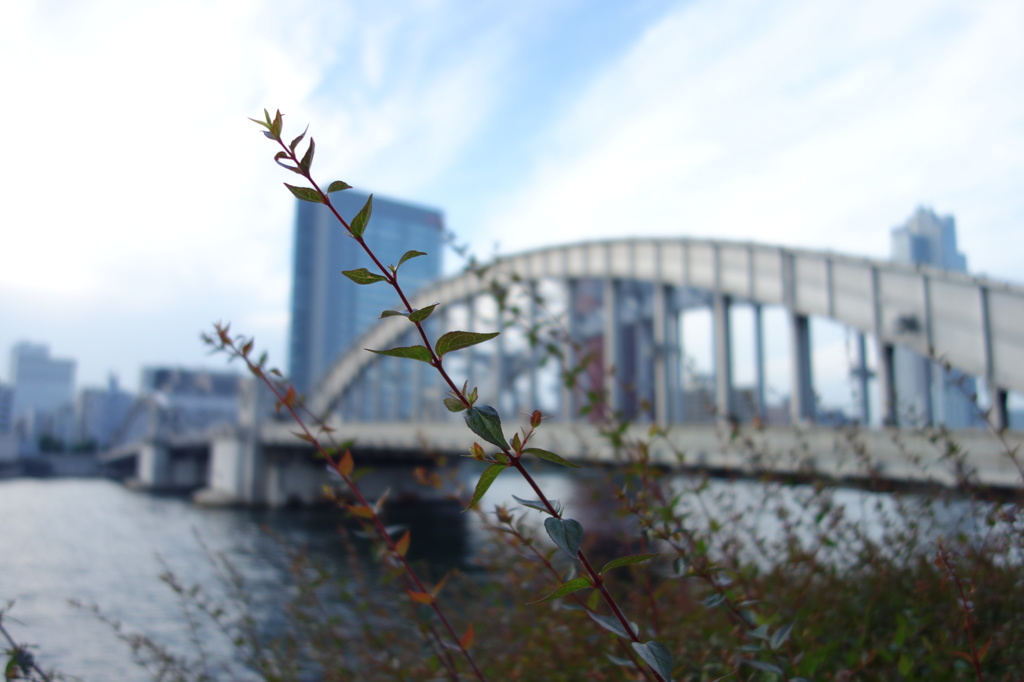 勝ちどき橋