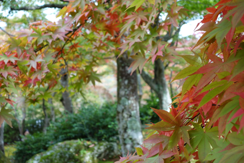 @箱根美術館