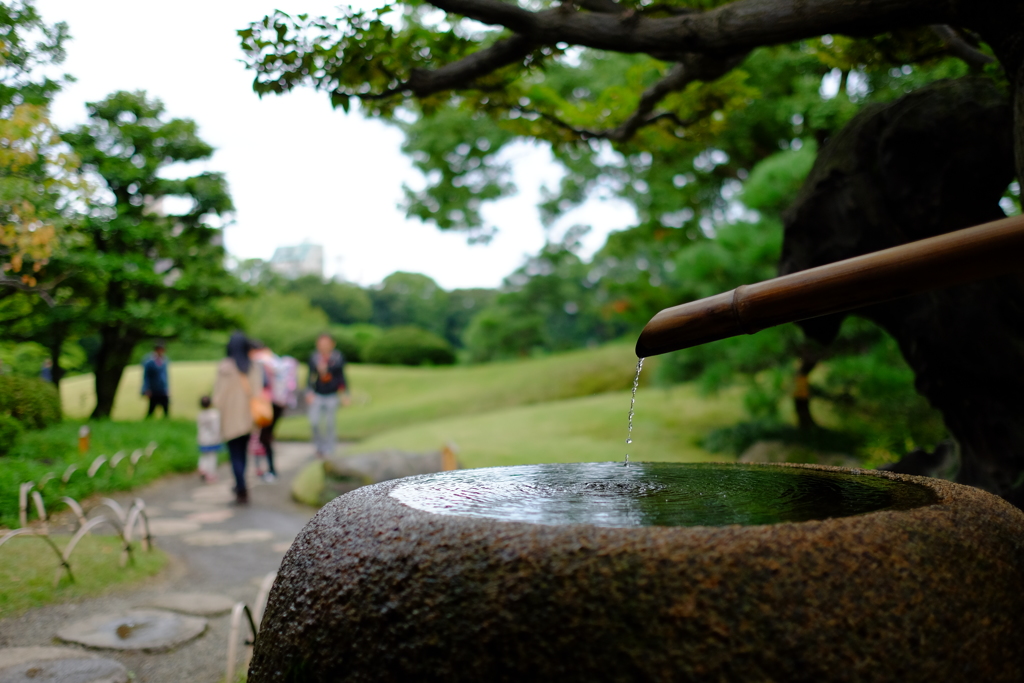 @清澄庭園