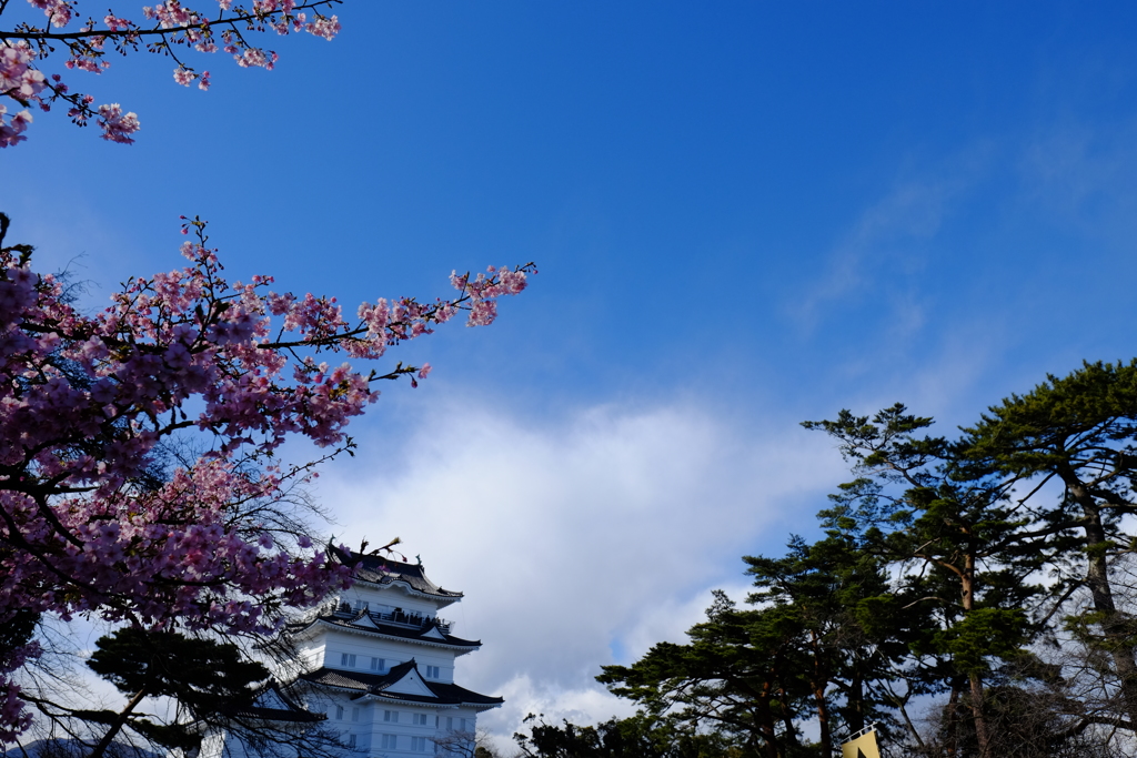 小田原城