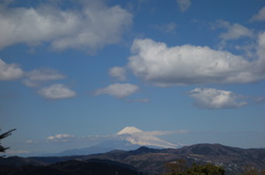 富士山 from　伊豆シャボテン公園