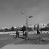 昭和記念公園