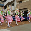 阿波踊り@代々木八幡