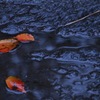 秋は静かに、