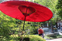 おおきなかさ