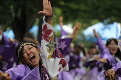 よさこい祭り