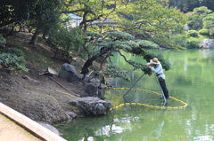 造園業