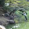 造園業