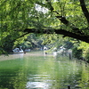 井の頭公園