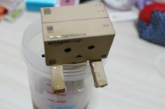 落ちた･･･