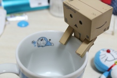 あおたぬき･･･？