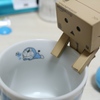 あおたぬき･･･？