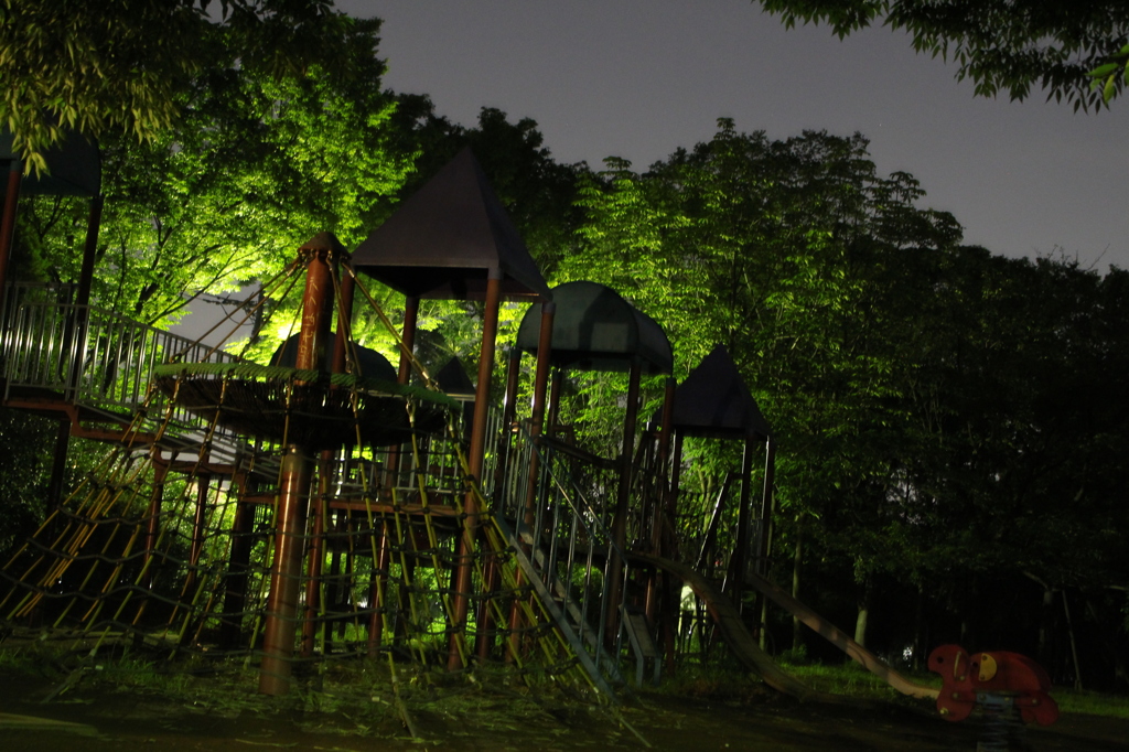 夜の公園