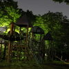 夜の公園