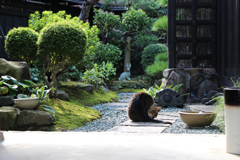 直島にて