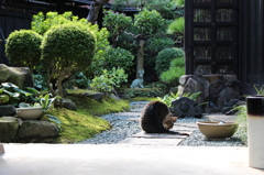 直島にて