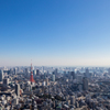 view from Roppongi hills SKYDECK #4