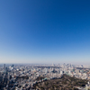 view from Roppongi hills SKYDECK #2