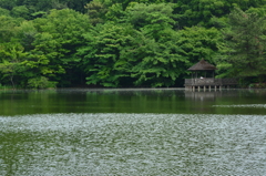 三宝寺池