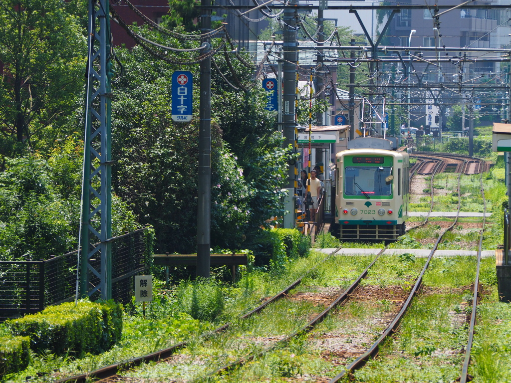 都電のある風景