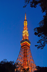 東京夜景・東京タワー