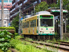 電停