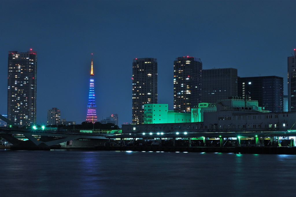 築地より東京タワー眺望