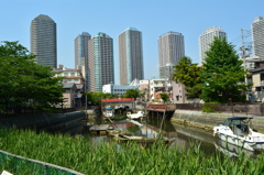 高層マンションと赤い橋