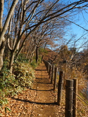 冬の散歩道