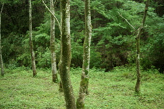 DSC00861