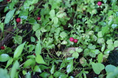DSC00869