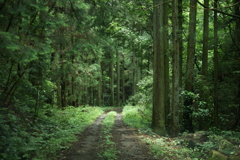 DSC00887
