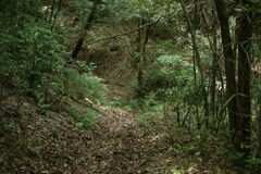 道なき道