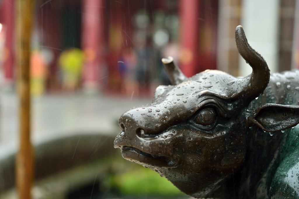 雨と丑