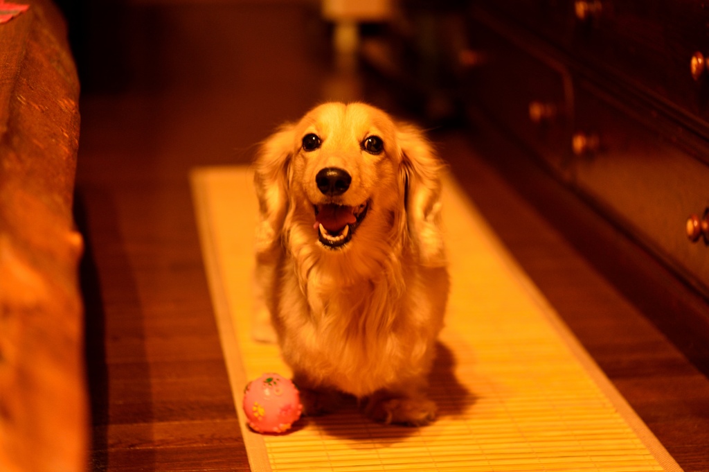 笑顔