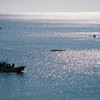 ある夏の午後