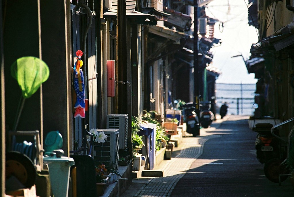 5月の風