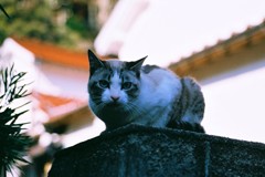 緊張の糸